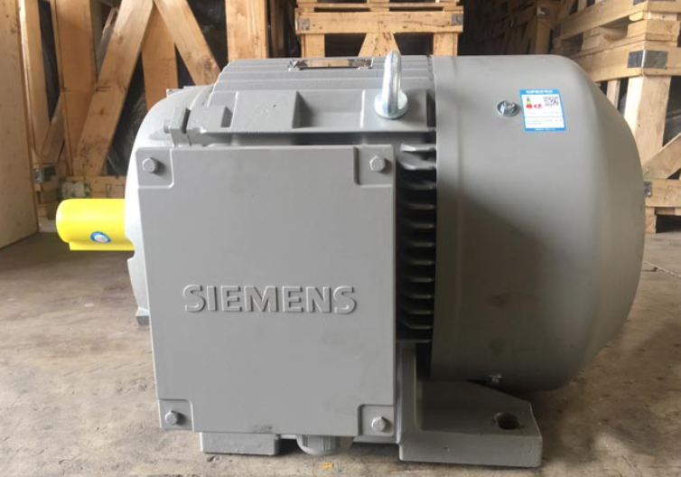 MOTOR ĐIỆN SEIMENS 30KW